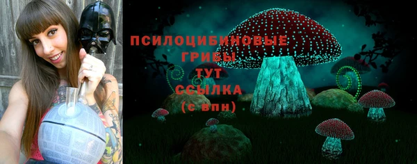 мескалин Лабытнанги
