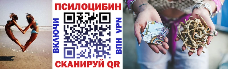 Купить закладки  Богданович  Галлюциногенные грибы MAGIC MUSHROOMS 